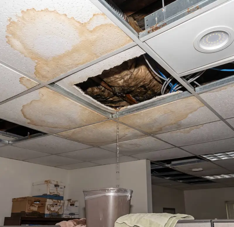 Water leaking through an office ceiling into a bucket